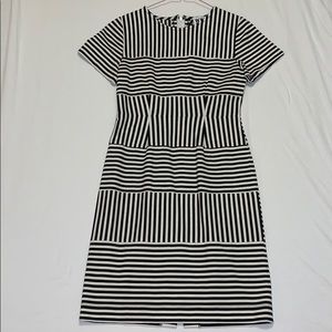 DARK NAVY and White striped Work/ Casual Dress